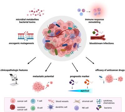 Frontiers | Tumor Microbiome – An Integral Part Of The Tumor ...